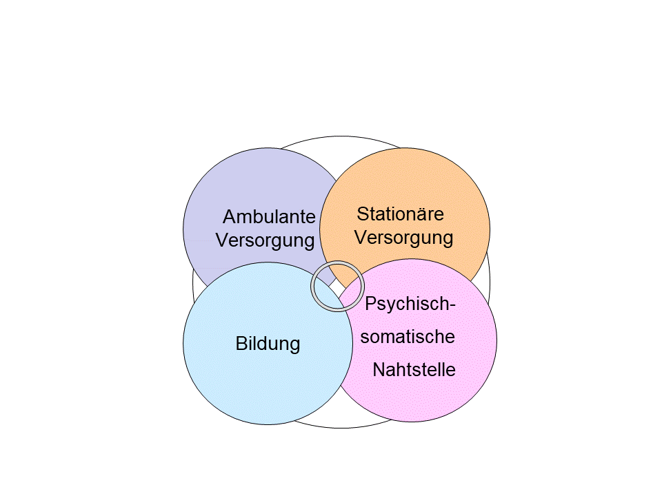 Das Bild zeigt die Überlagung der vier Themenfelder. Sämtliche Informationen sind im Lauftext enthalten.